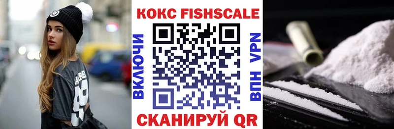 КОКАИН Fish Scale  Купить закладки  Макарьев 