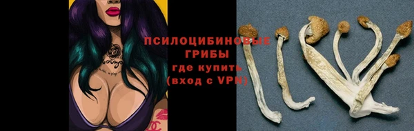 jwh Протвино